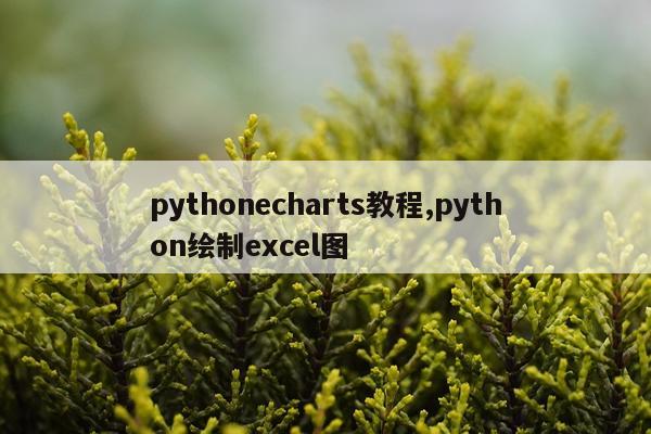 pythonecharts教程,python绘制excel图