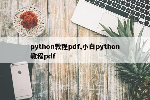 python教程pdf,小白python教程pdf
