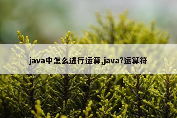 java中怎么进行运算,java?运算符