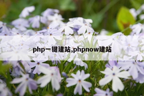 php一键建站,phpnow建站