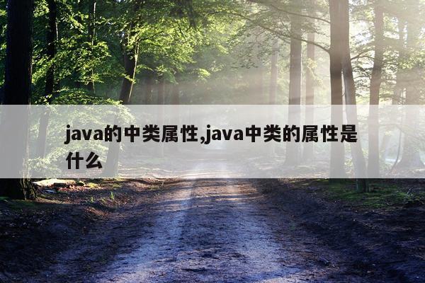 java的中类属性,java中类的属性是什么