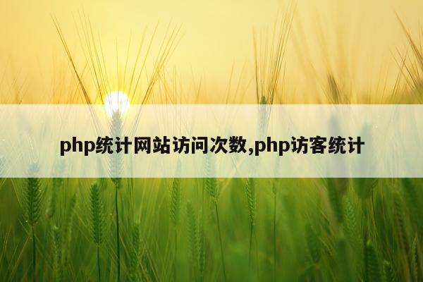 php统计网站访问次数,php访客统计