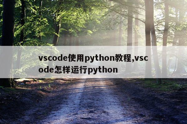 vscode使用python教程,vscode怎样运行python