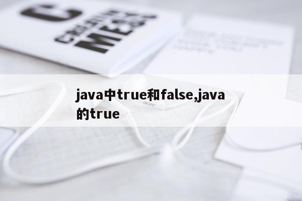 java中true和false,java的true