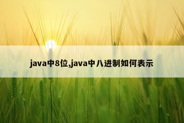 java中8位,java中八进制如何表示