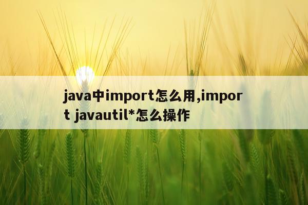 java中import怎么用,import javautil*怎么操作