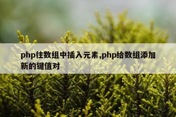 php往数组中插入元素,php给数组添加新的键值对