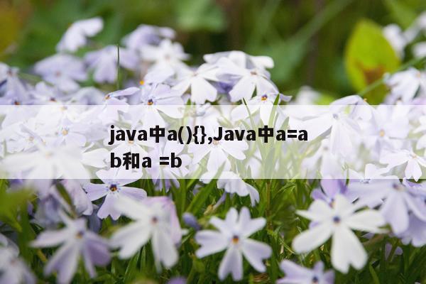 java中a(){},Java中a=a b和a =b