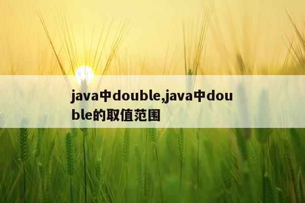 java中double,java中double的取值范围