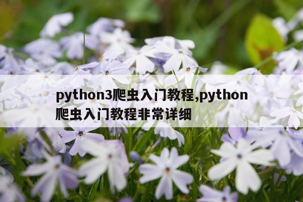 python3爬虫入门教程,python爬虫入门教程非常详细