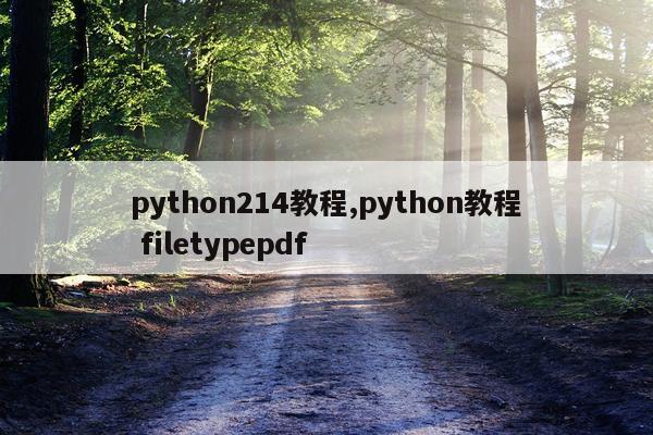 python214教程,python教程 filetypepdf
