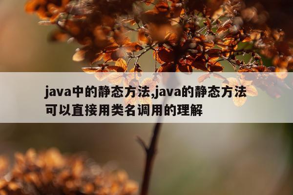 java中的静态方法,java的静态方法可以直接用类名调用的理解