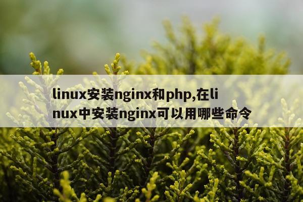 linux安装nginx和php,在linux中安装nginx可以用哪些命令