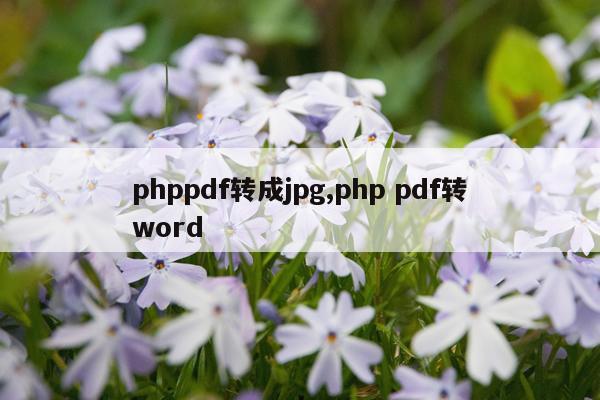 phppdf转成jpg,php pdf转word