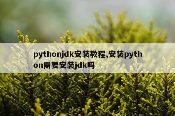 pythonjdk安装教程,安装python需要安装jdk吗