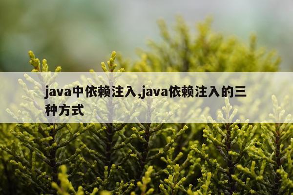 java中依赖注入,java依赖注入的三种方式