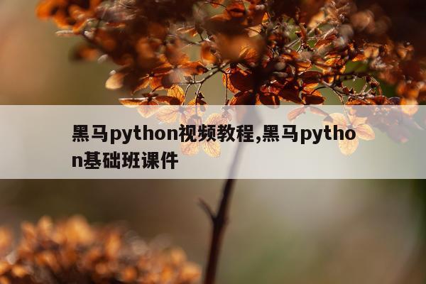 黑马python视频教程,黑马python基础班课件