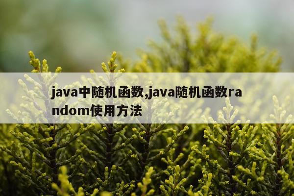 java中随机函数,java随机函数random使用方法
