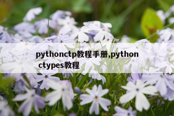 pythonctp教程手册,python ctypes教程
