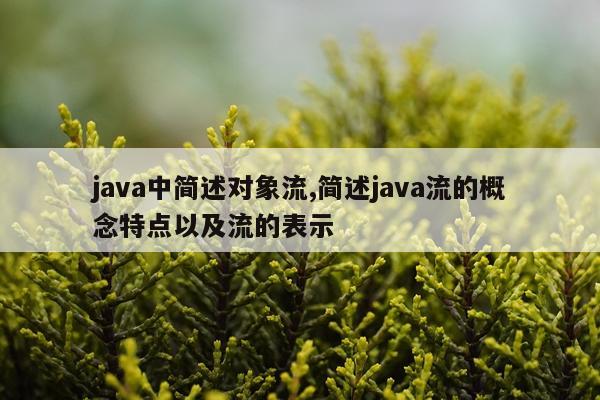 java中简述对象流,简述java流的概念特点以及流的表示