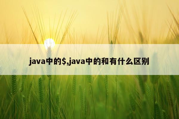 java中的$,java中的和有什么区别