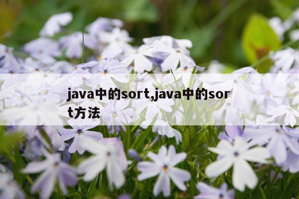 java中的sort,java中的sort方法