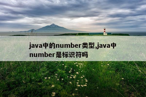 java中的number类型,java中number是标识符吗
