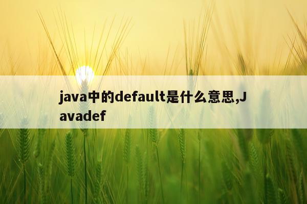 java中的default是什么意思,Javadef