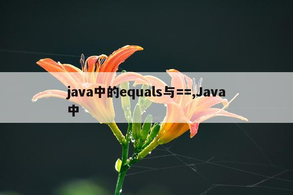 java中的equals与==,Java中