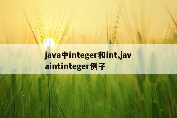 java中integer和int,javaintinteger例子