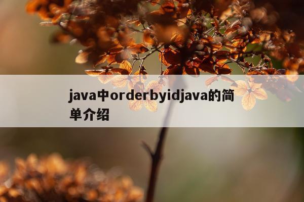 java中orderbyidjava的简单介绍