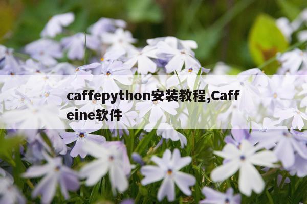 caffepython安装教程,Caffeine软件