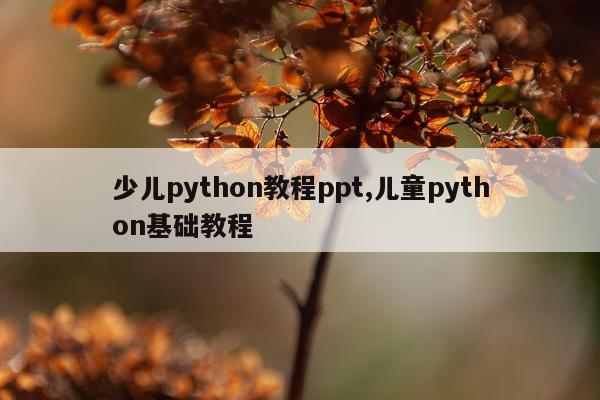 少儿python教程ppt,儿童python基础教程