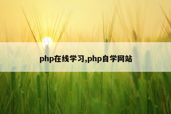 php在线学习,php自学网站