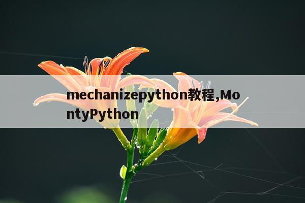 mechanizepython教程,MontyPython