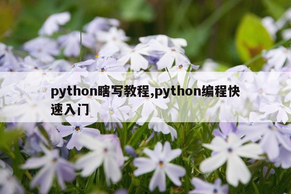 python瞎写教程,python编程快速入门