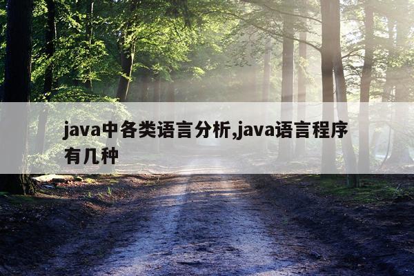 java中各类语言分析,java语言程序有几种