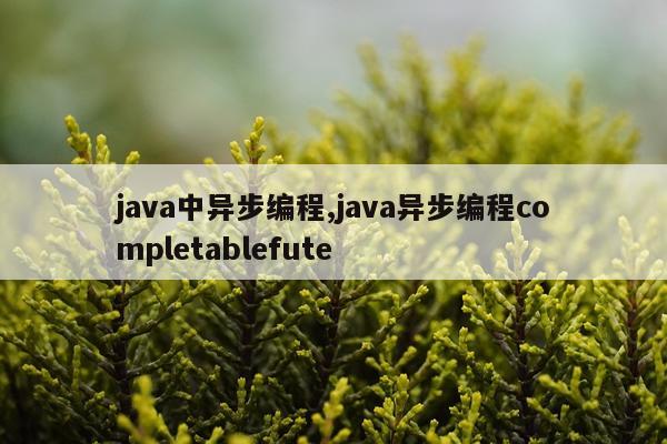 java中异步编程,java异步编程completablefute
