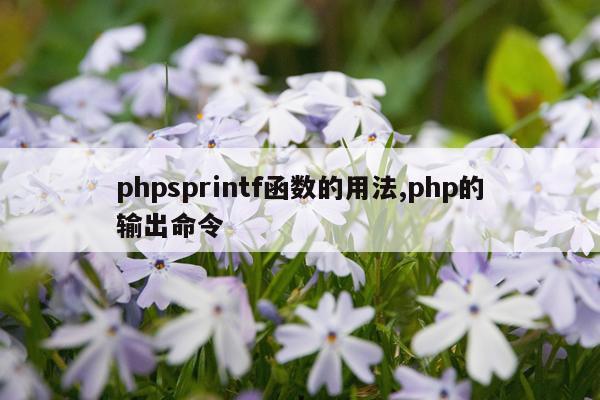 phpsprintf函数的用法,php的输出命令