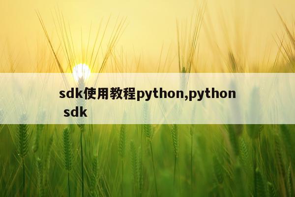 sdk使用教程python,python sdk