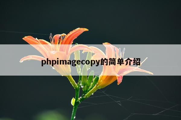 phpimagecopy的简单介绍