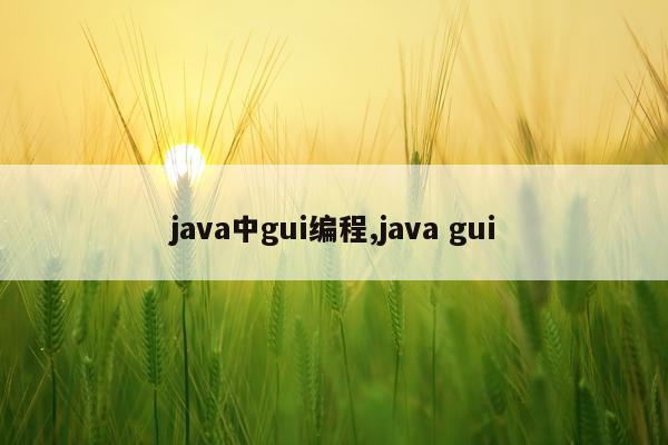 java中gui编程,java gui
