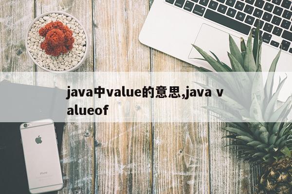 java中value的意思,java valueof