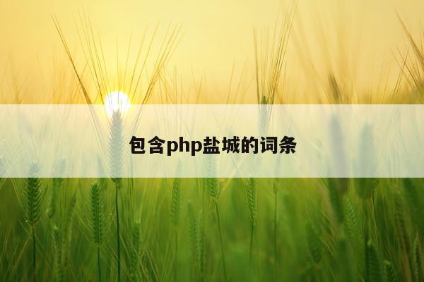 包含php盐城的词条