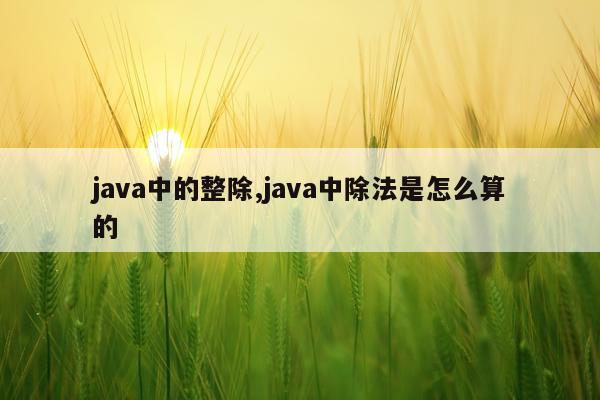 java中的整除,java中除法是怎么算的