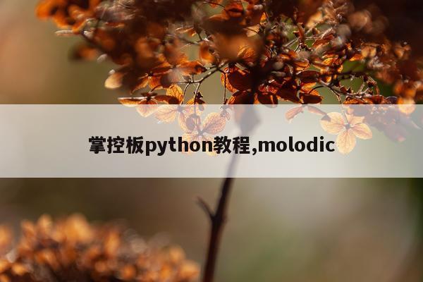掌控板python教程,molodic