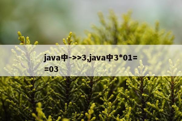 java中->>3,java中3*01==03