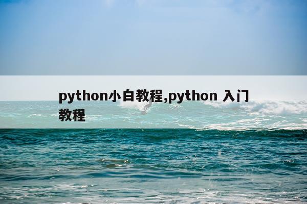 python小白教程,python 入门教程