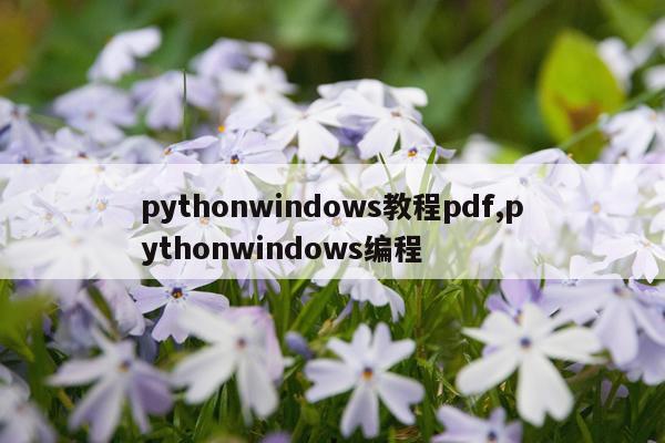 pythonwindows教程pdf,pythonwindows编程
