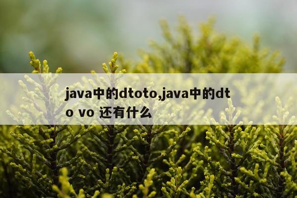 java中的dtoto,java中的dto vo 还有什么